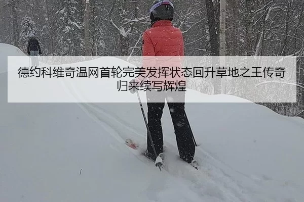 de-yue-ke-wei-qi-wen-wang-shou-lun-wan-mei-fa-hui-zhuang-tai-hui-sheng-cao-di-zhi-wang-chuan-qi-gui-lai-xu-xie-hui-huang-2-379.jpg